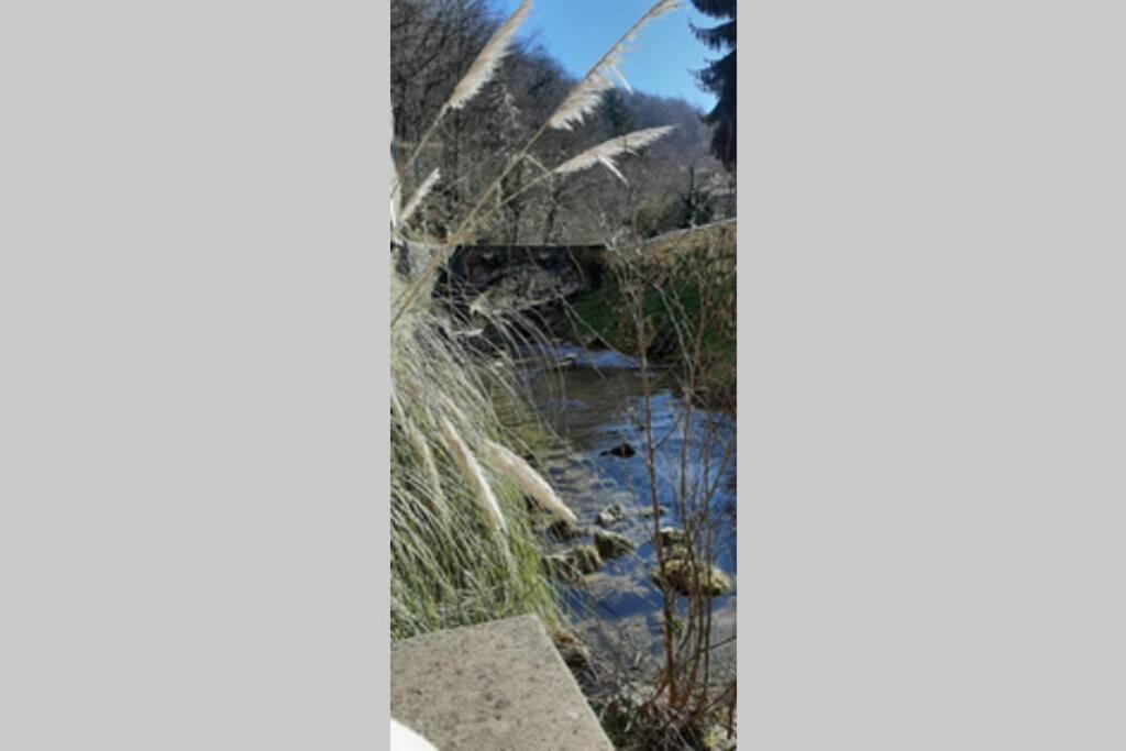 Foix Lägenhet Exteriör bild